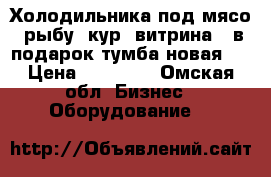 2 Холодильника под мясо, рыбу, кур (витрина ) в подарок тумба новая,  › Цена ­ 25 000 - Омская обл. Бизнес » Оборудование   